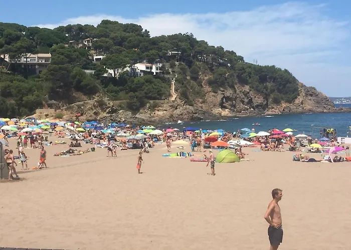 Vila Com Casa Nostra *